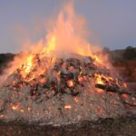 Billingsley (7) - Copy - Copy