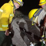 IMG_20251019_063858417_HDR