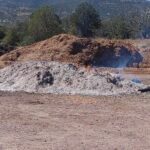 IMG_20251019_134729621 - Copy